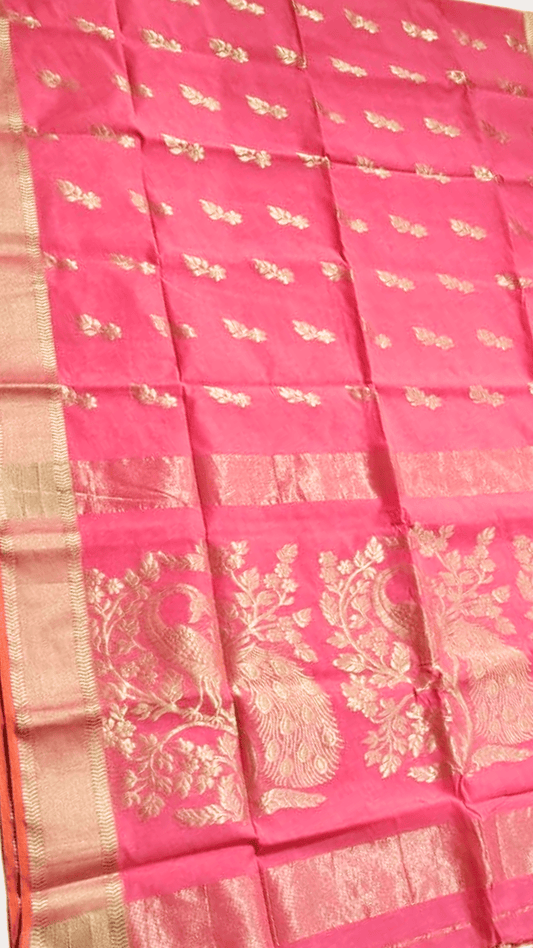 Cotton silk Peacock Motif saree With Zari