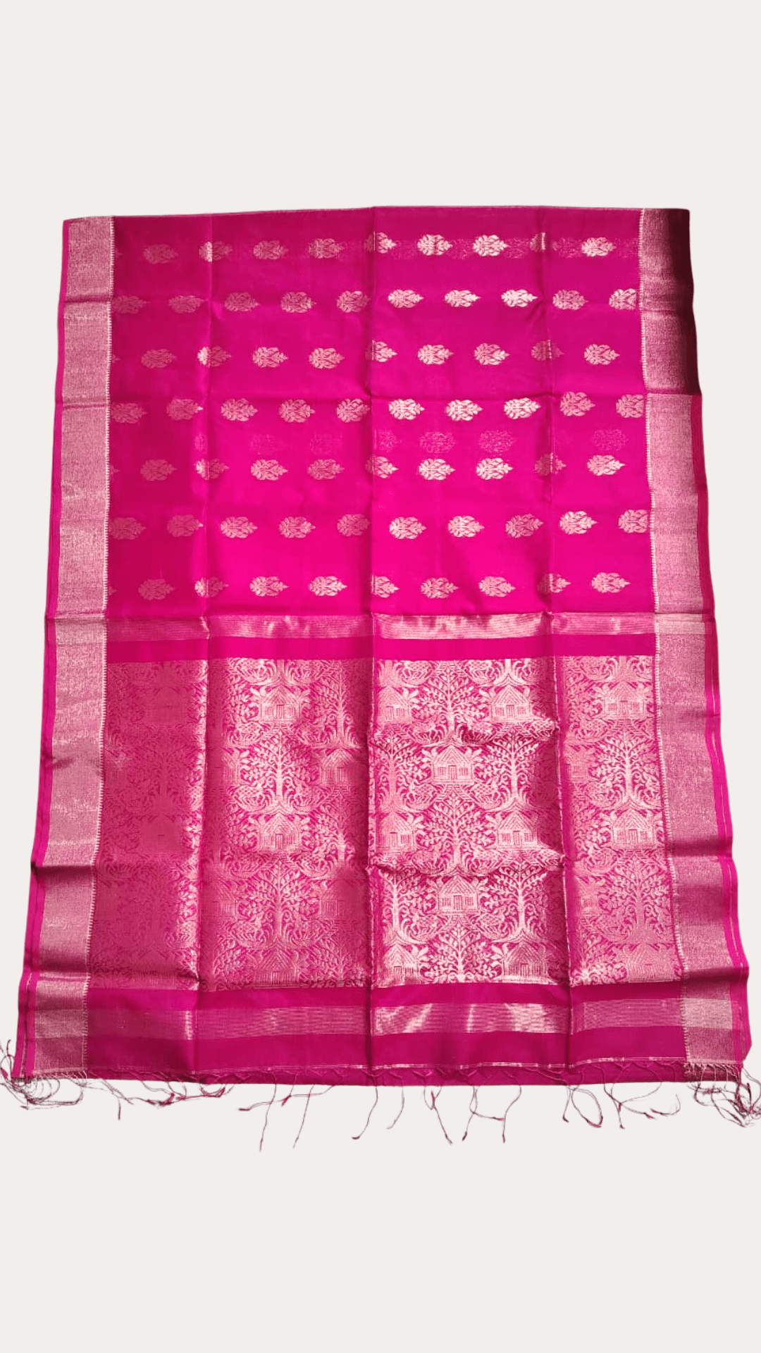 Cotton silk Benarasi saree