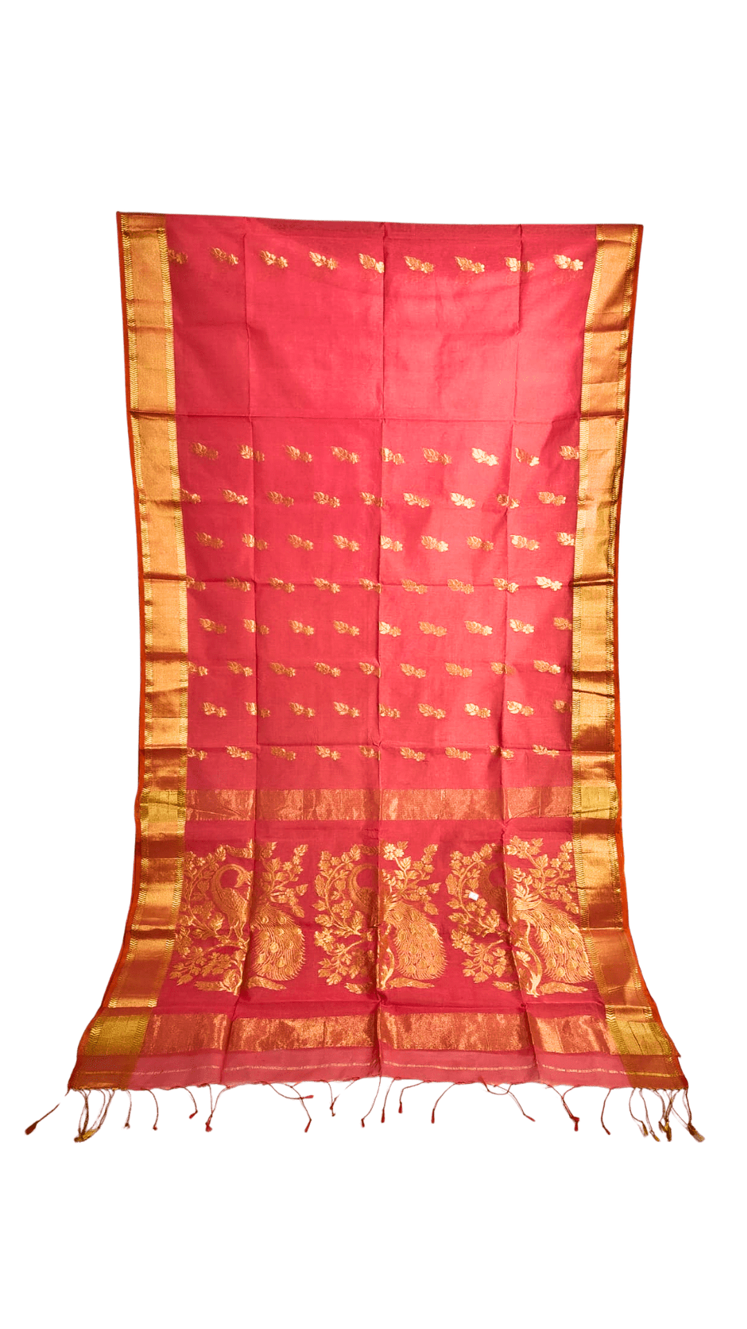 Cotton silk Peacock Motif saree With Zari